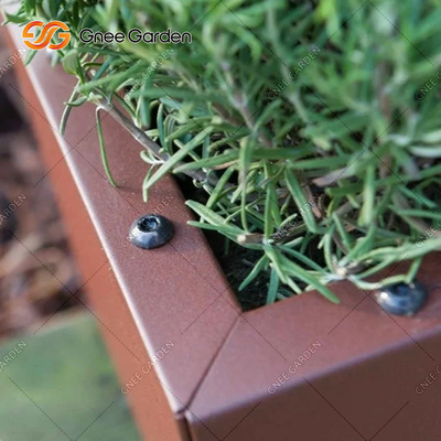 Καλλιεργητής 1200mm γουρνών χάλυβα Corten κιβωτίων καλλιεργητών κήπων μετάλλων προσαρμογής